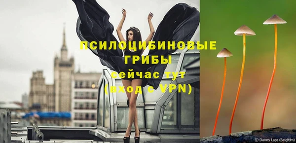 мдма Богородск