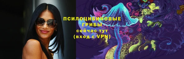 молекула духа Богданович