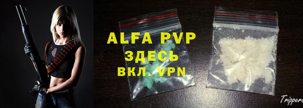 PSILOCYBIN Бронницы