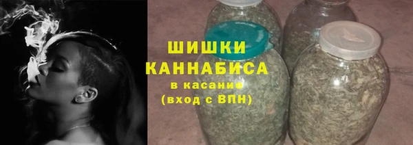 молекула духа Богданович