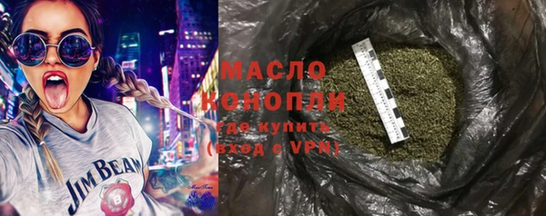 молекула духа Богданович