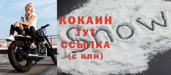 молекула духа Богданович