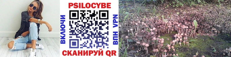 Псилоцибиновые грибы GOLDEN TEACHER  кракен ссылки  Духовщина 